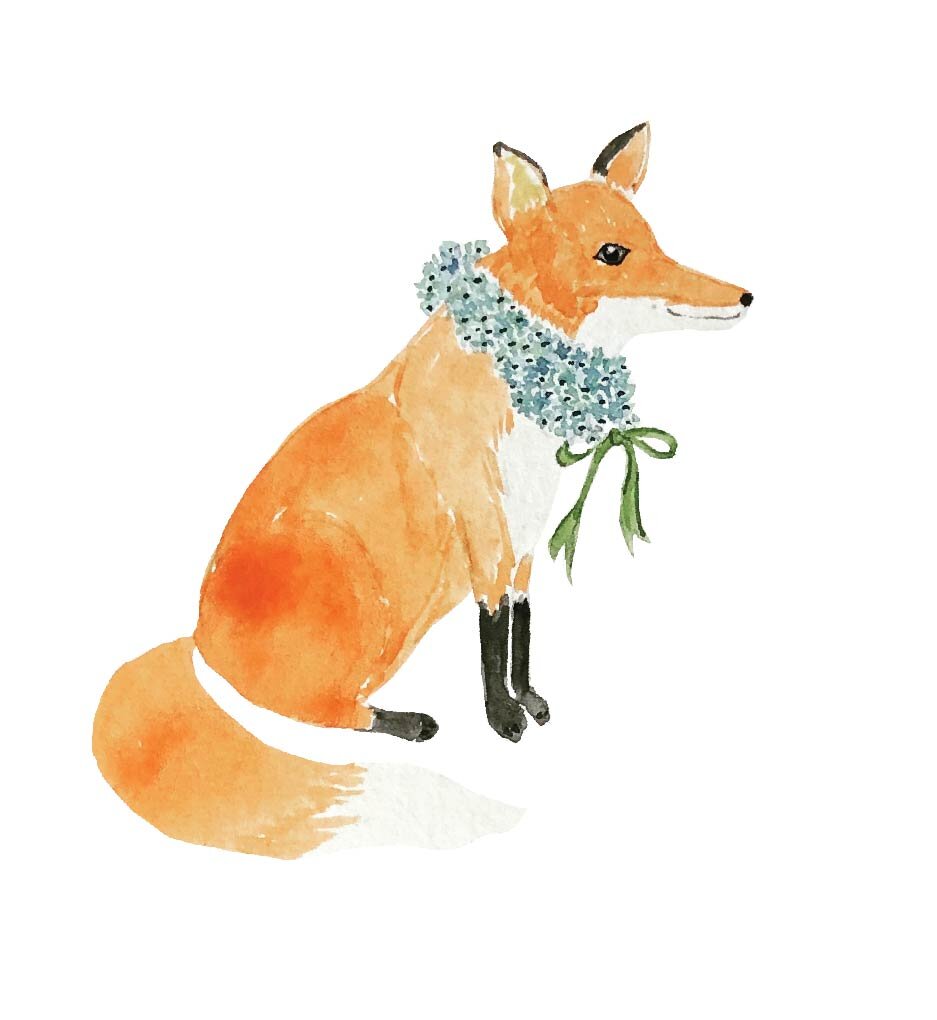 Hydrangea Fox Notecards