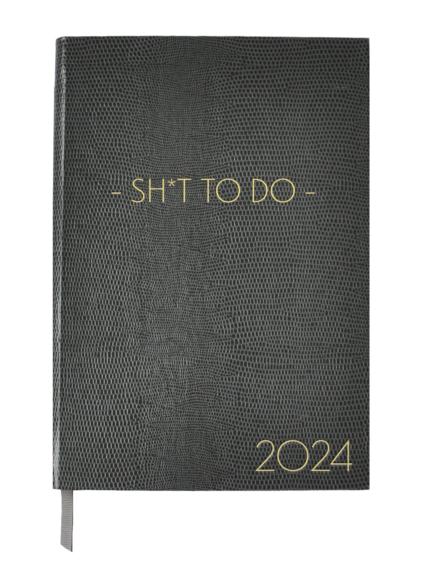 2024 DIARY - SH*T TO DO