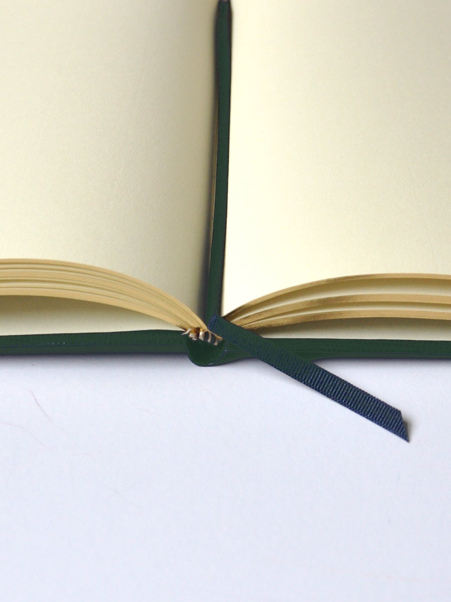 NOTEBOOK - GARDENING NOTES
