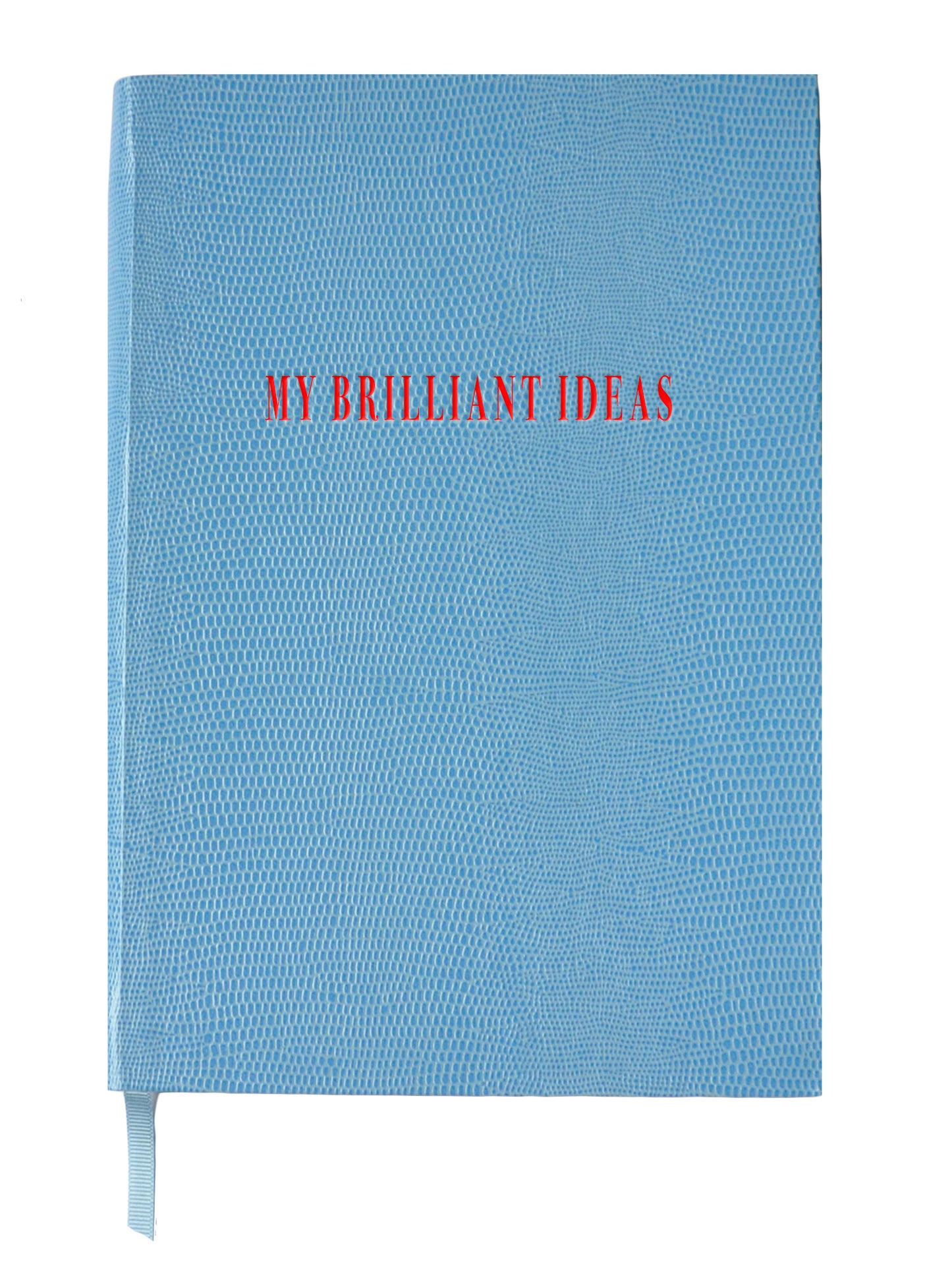 My Brilliant Ideas