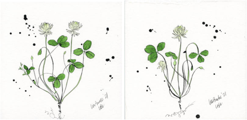 Splatter Clovers (Set of 2)