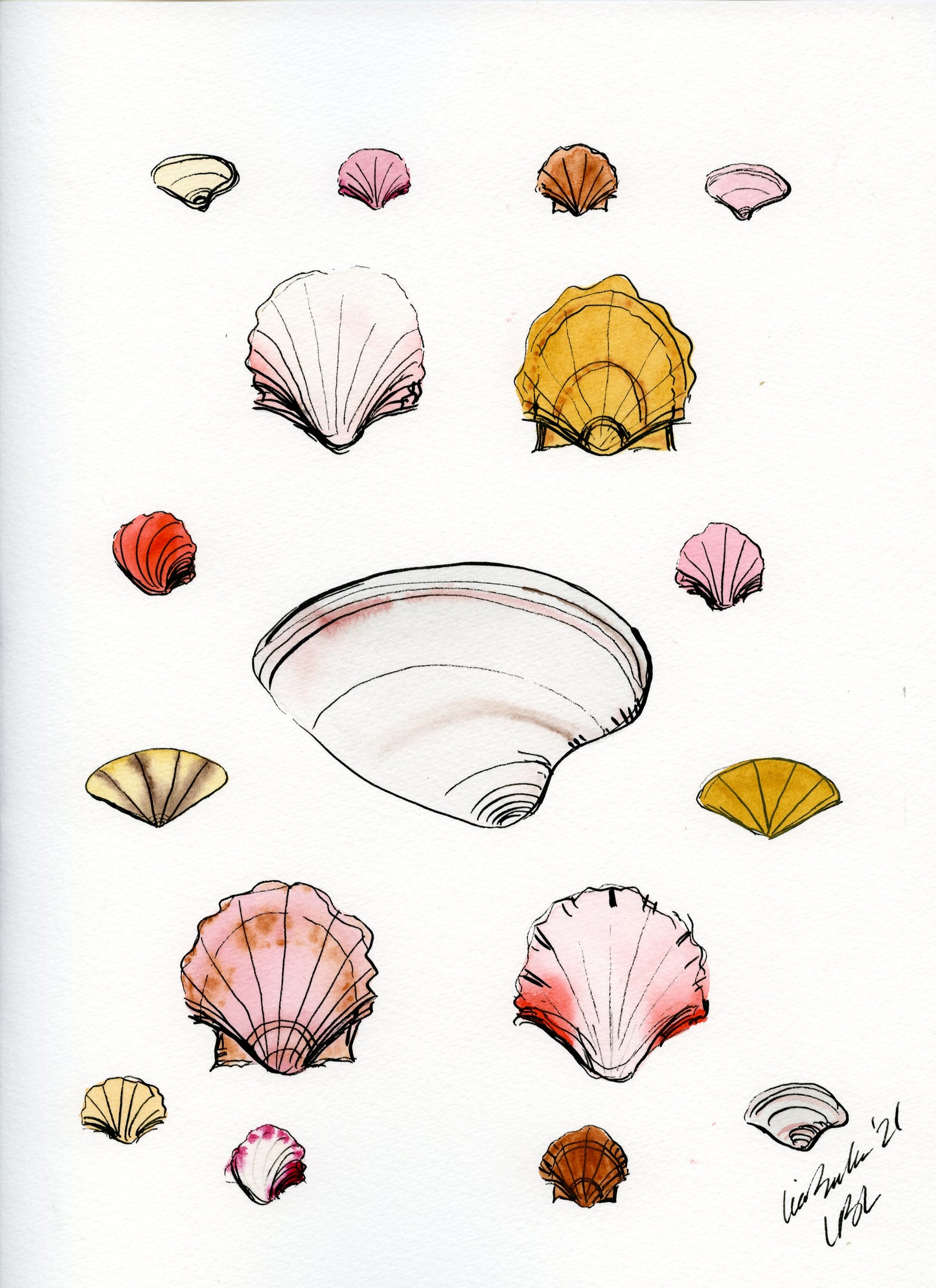 Shells