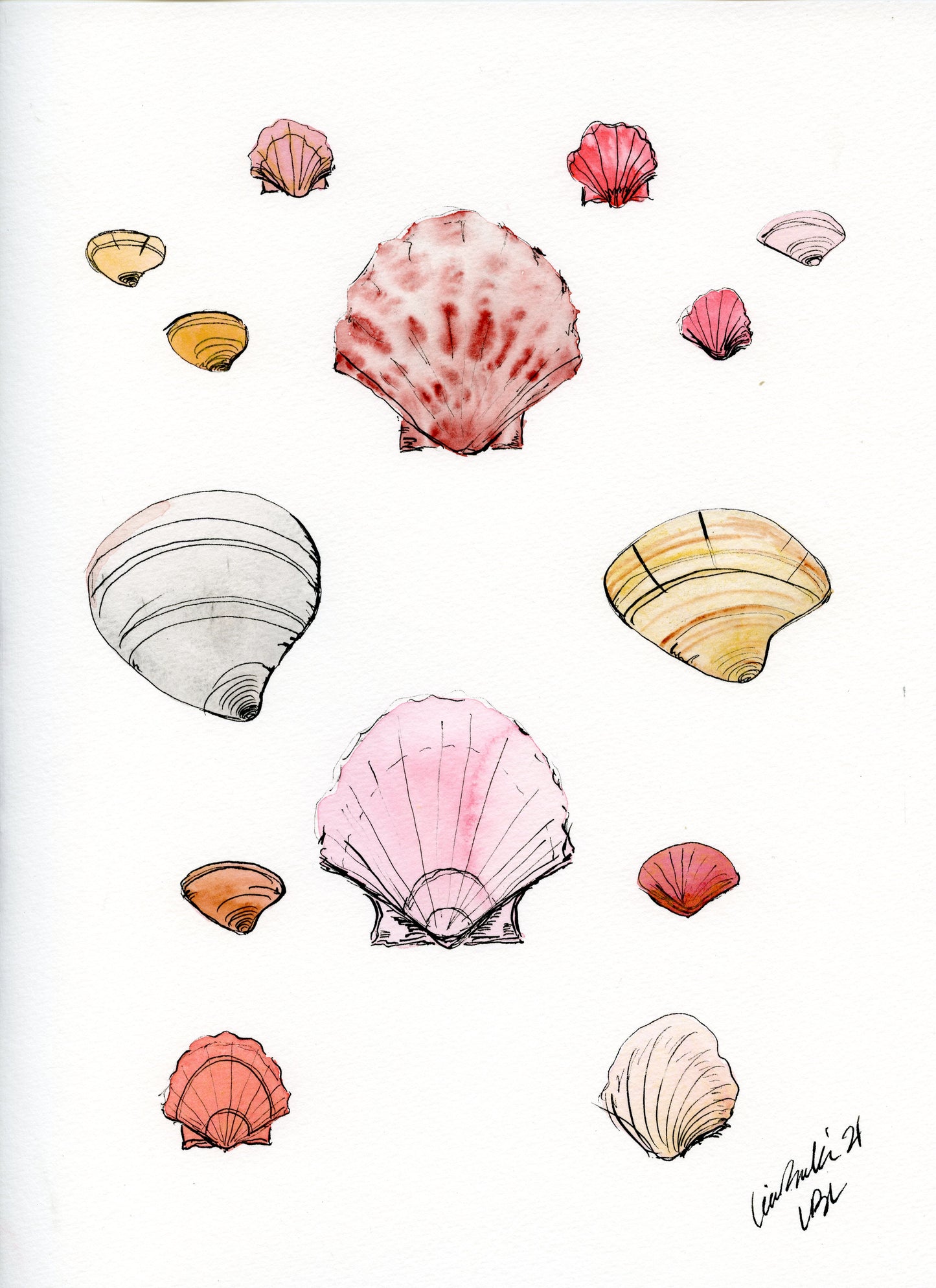 Shells