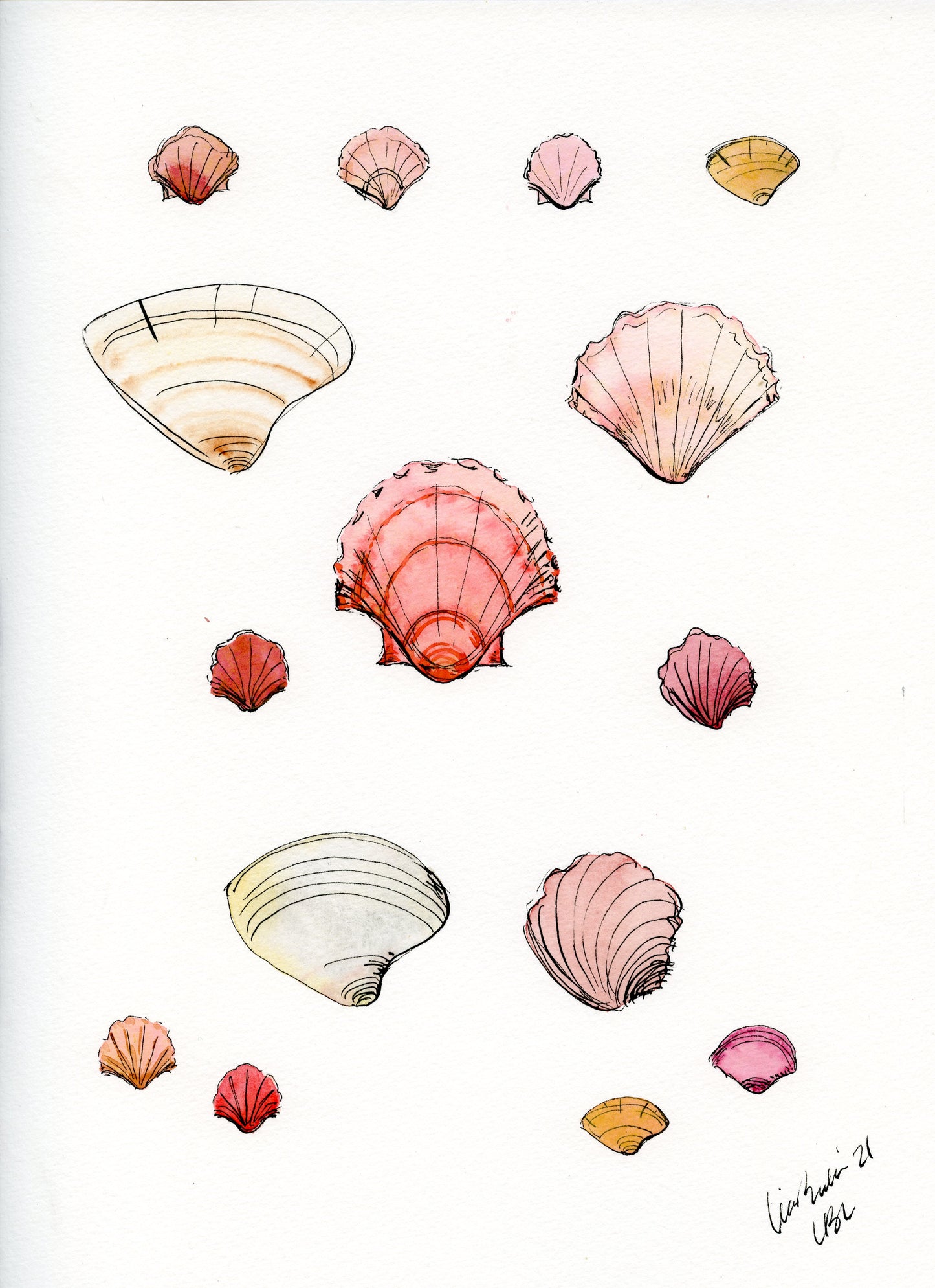 Shells
