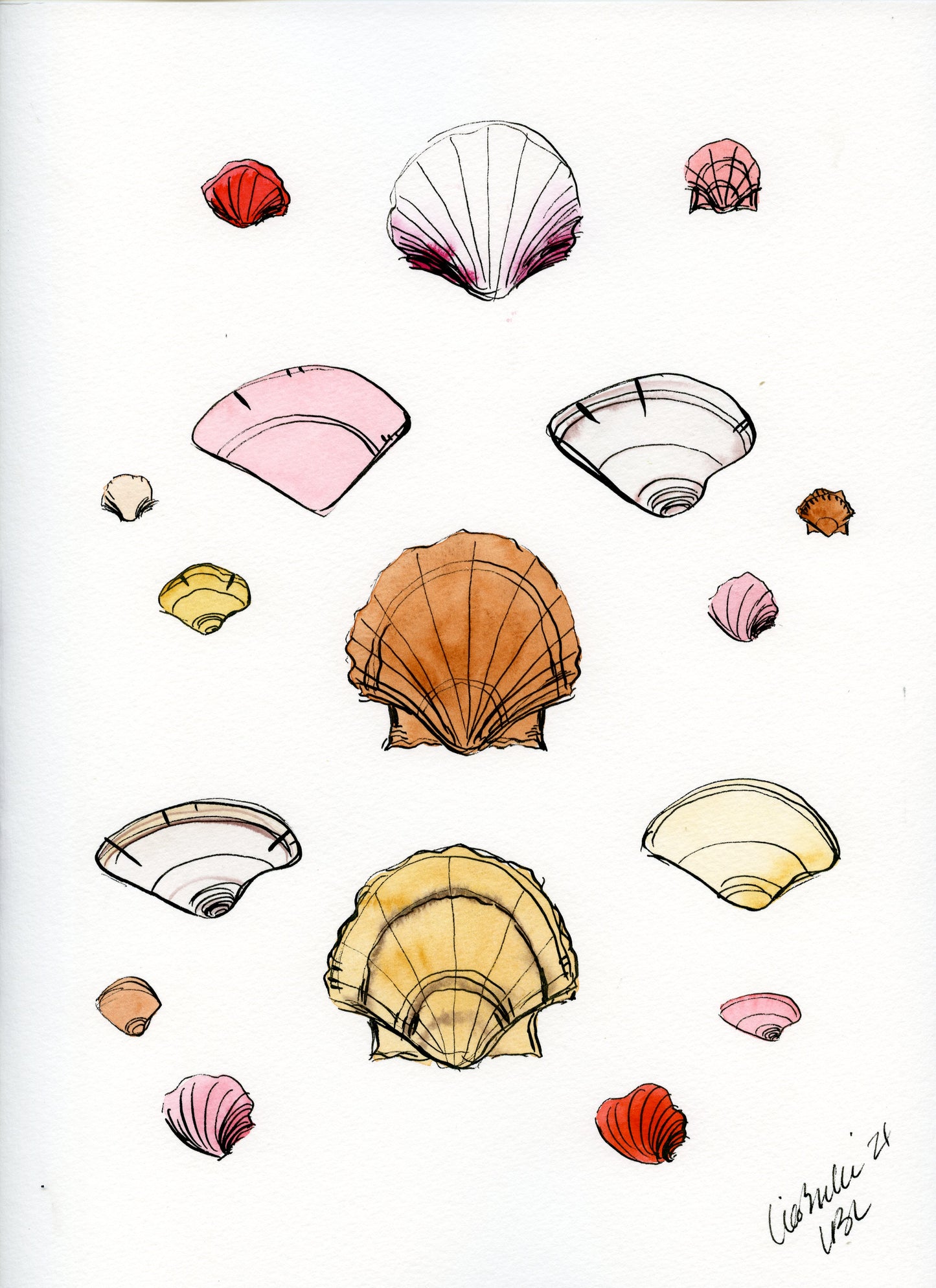 Shells
