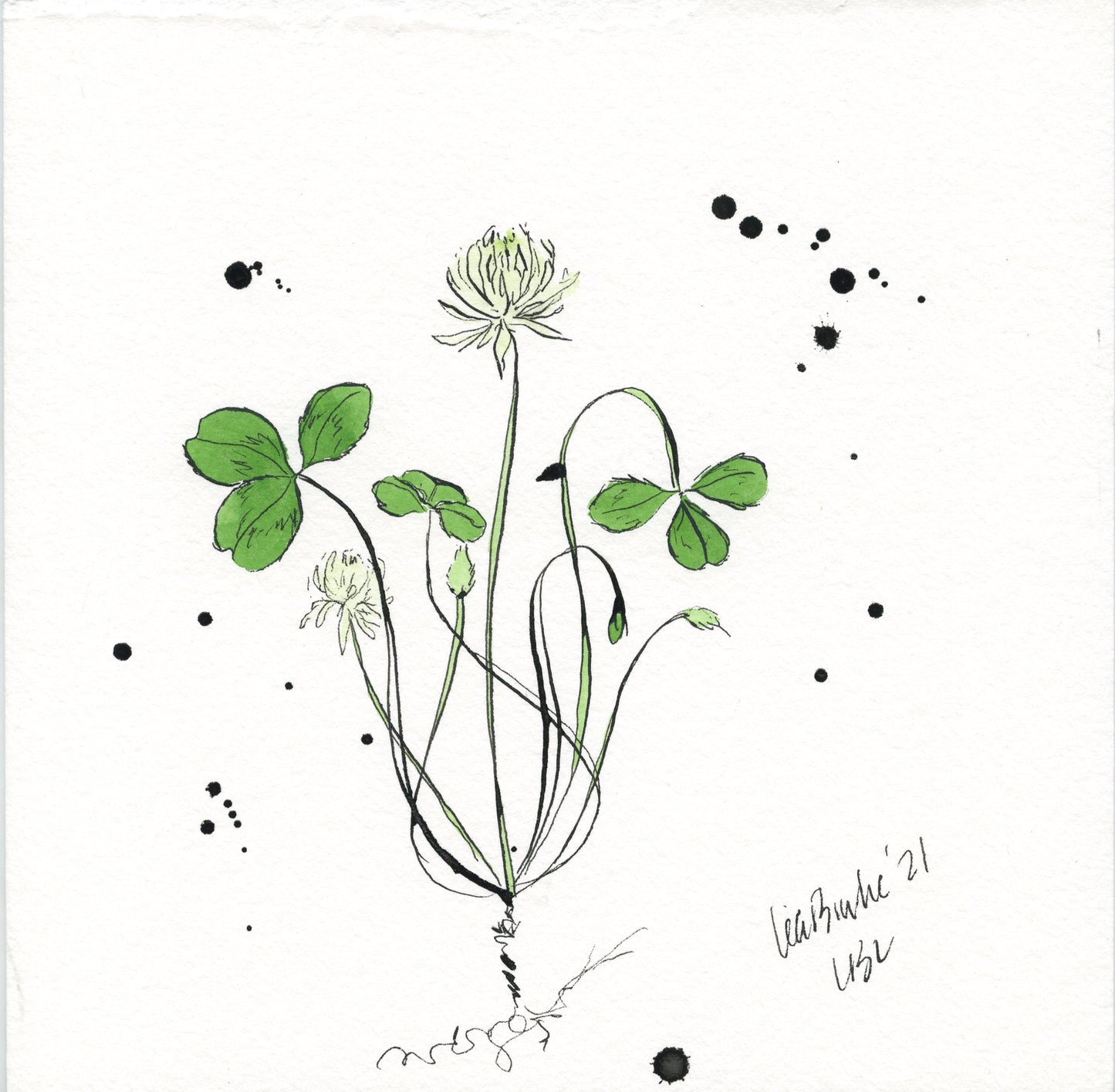 Splatter Clovers (Set of 2)