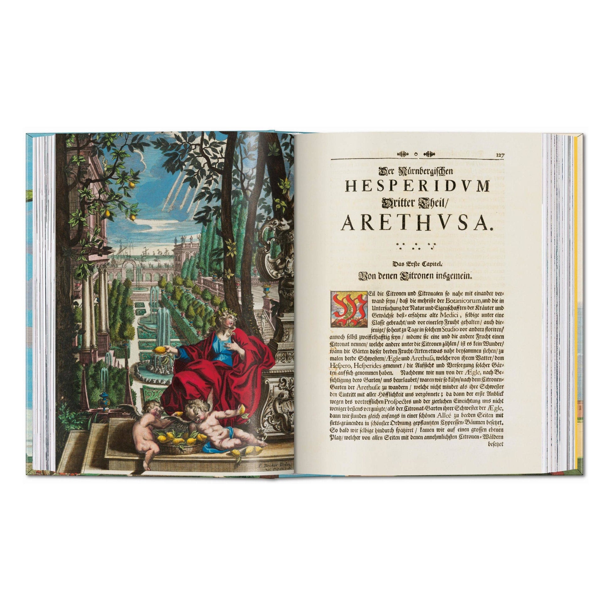 Open book with classic illustration scene left and chapter heading on right