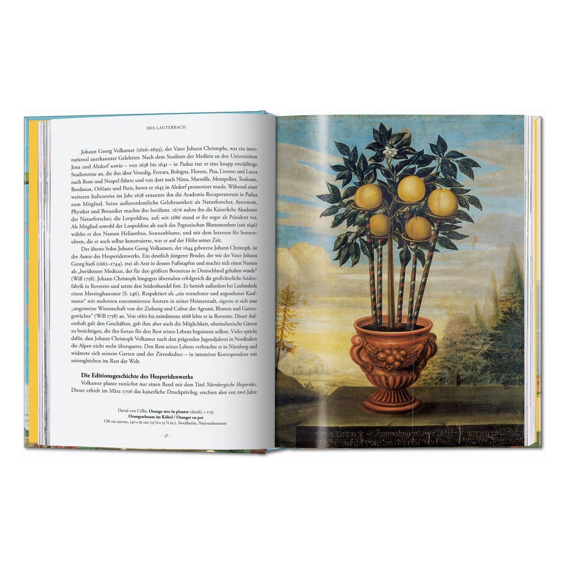 Open book with printed text left and illustrated citrus in a vase right