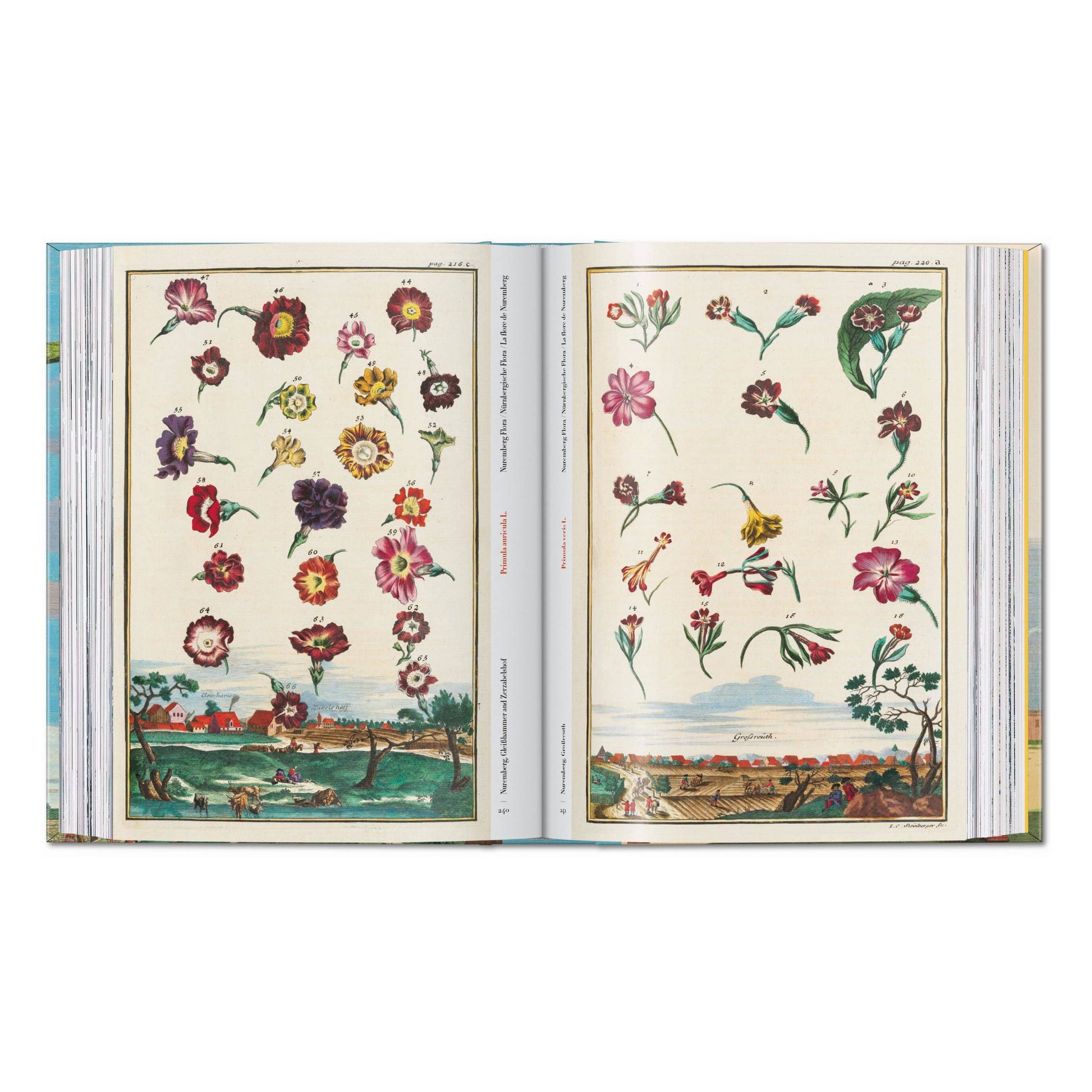 Open book spread with colored botanical plates showing flowers, fruits, and plants