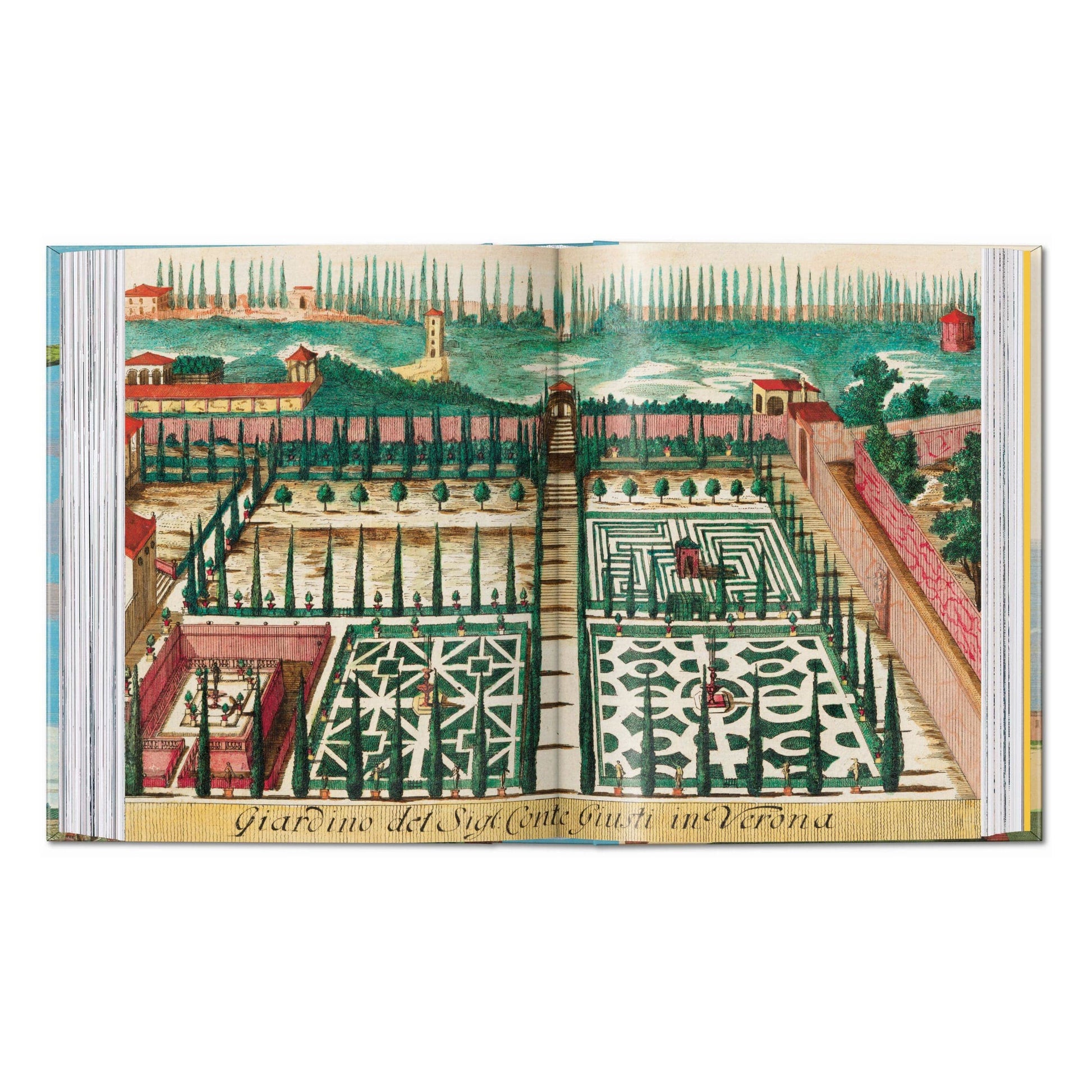 Open illustrated citrus fruit book showing a detailed garden courtyard landscape plate