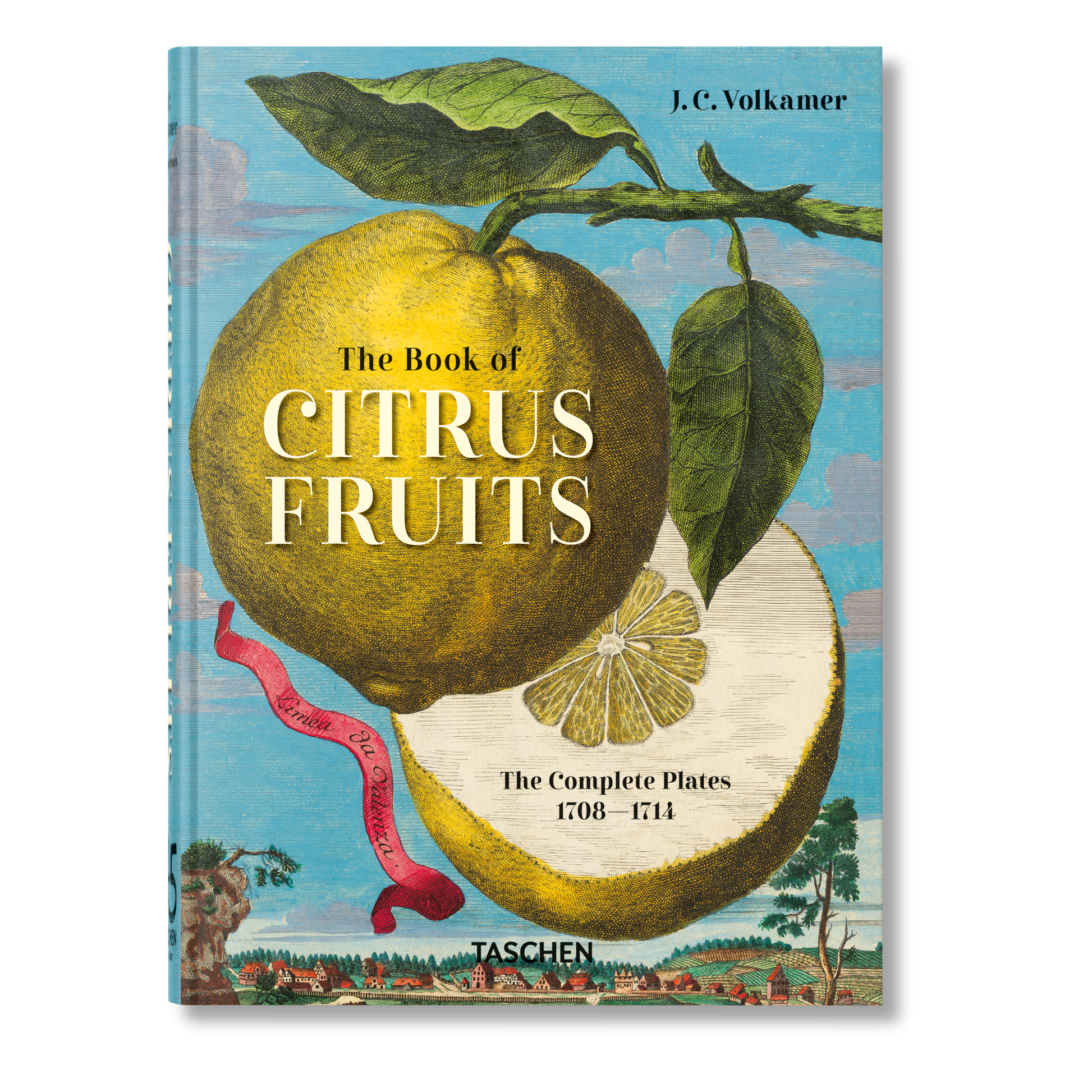 Citrus fruits book cover with illustrated lemons, leaves, and title lettering