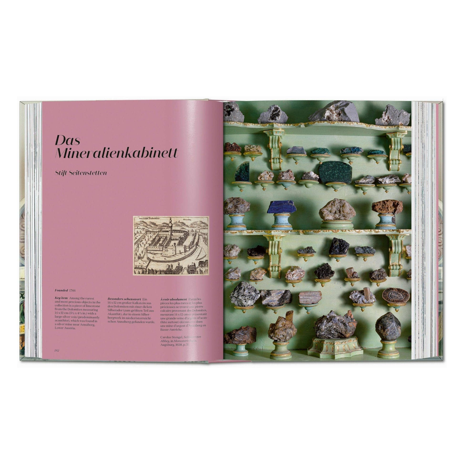 Cabinet of Curiosities book spread with mineral specimens arranged on green shelves