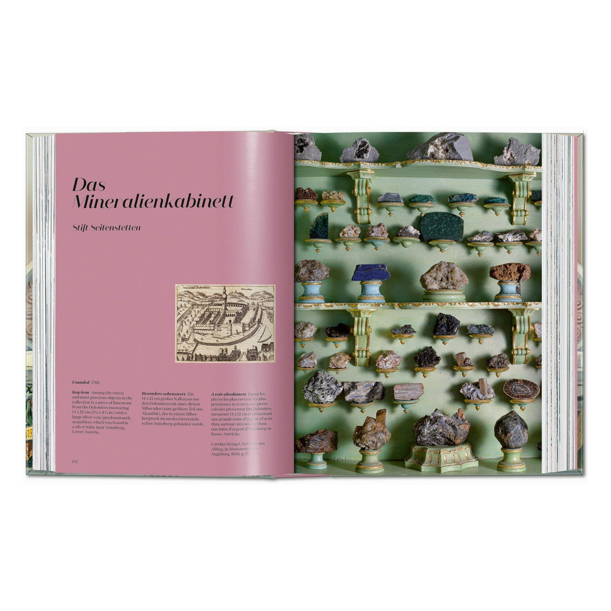 Cabinet of Curiosities book spread with mineral specimens arranged on green shelves