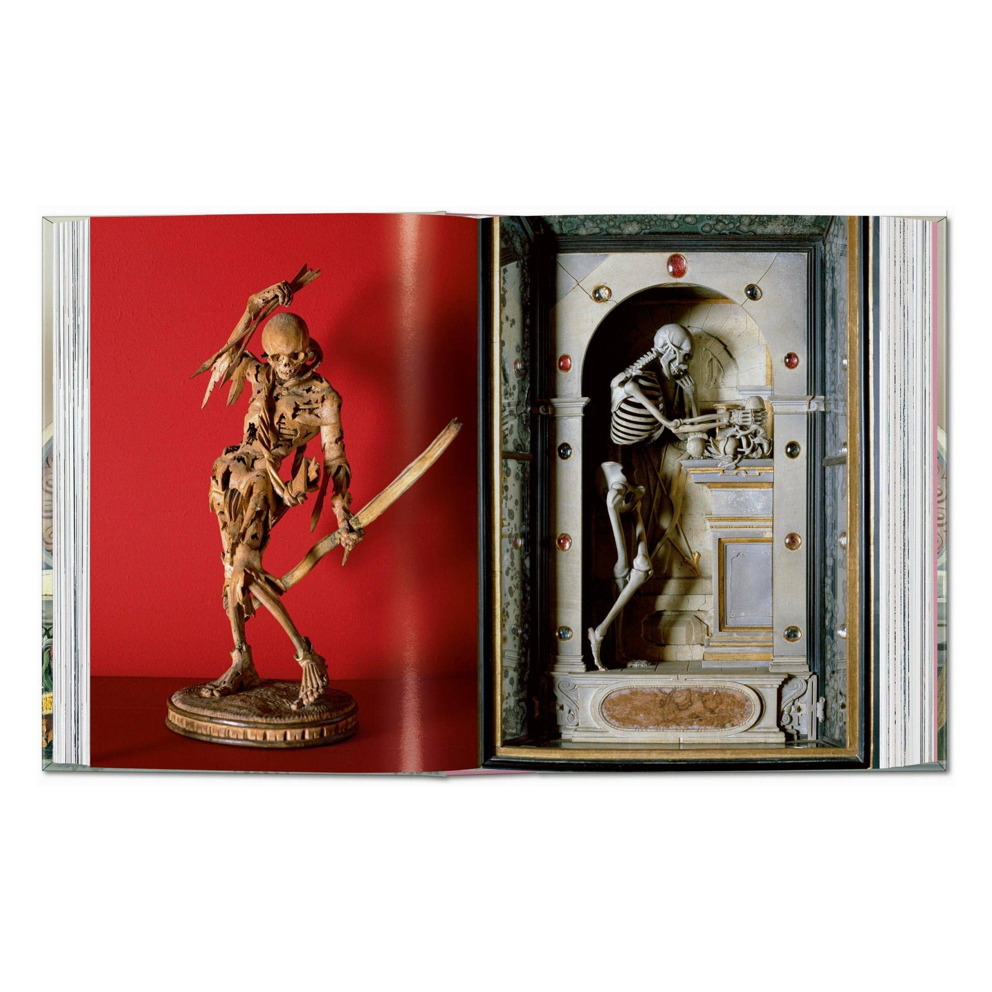 Cabinet of Curiosities book spread showing two specimen displays with skeleton figures