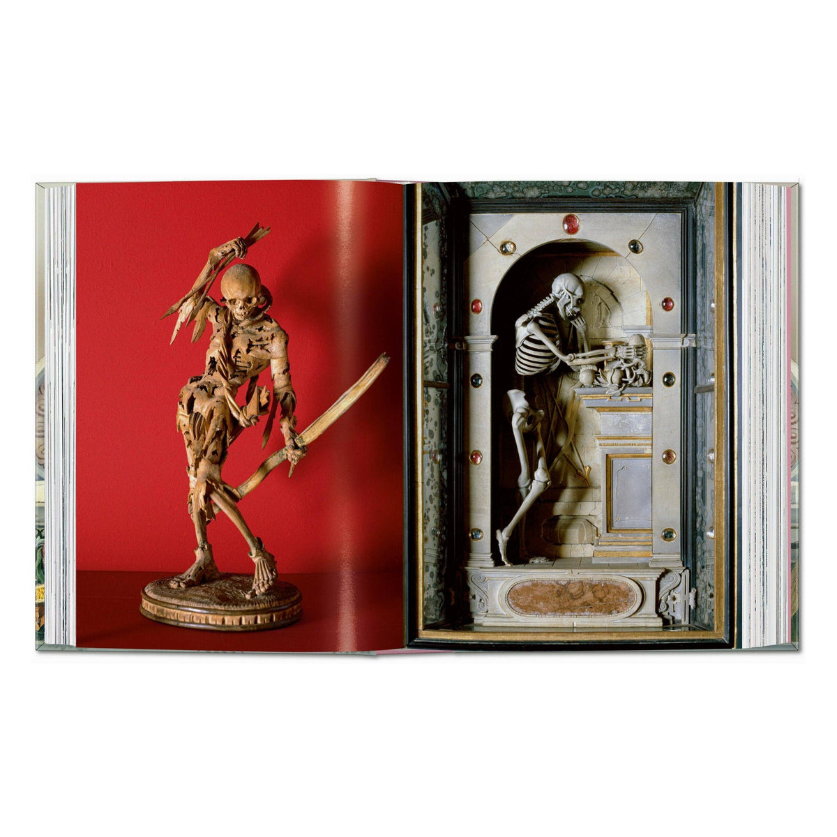 Cabinet of Curiosities book spread showing two specimen displays with skeleton figures
