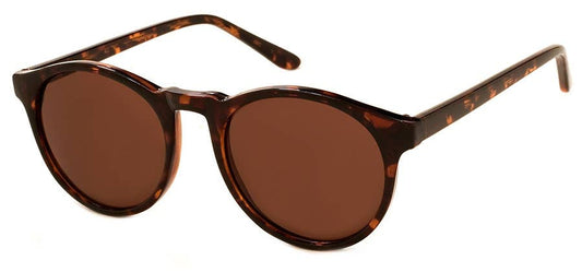 Grad School Sunglasses: Tortoise