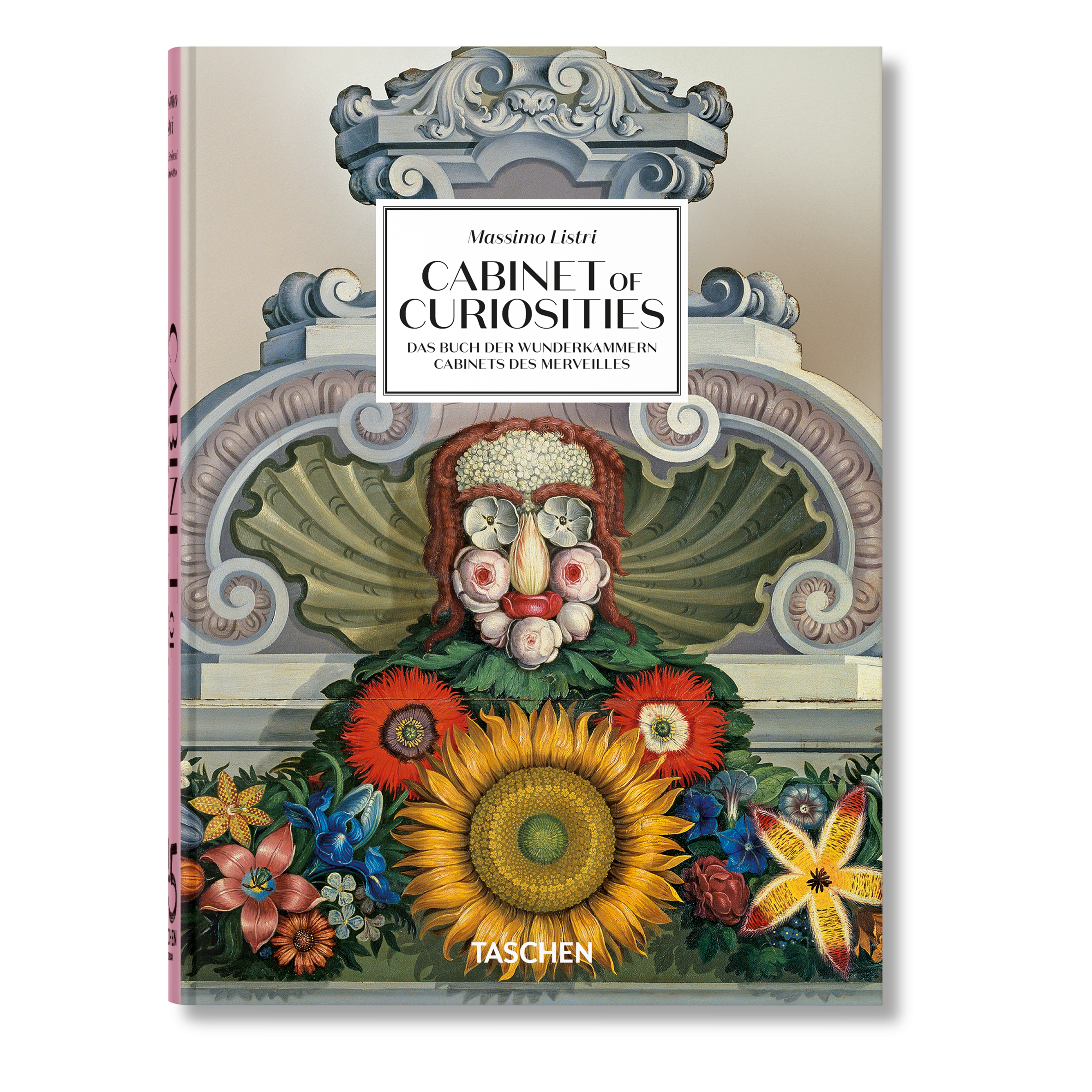 Cabinet of Curiosities book cover with ornate frame illustration and wildflower artwork