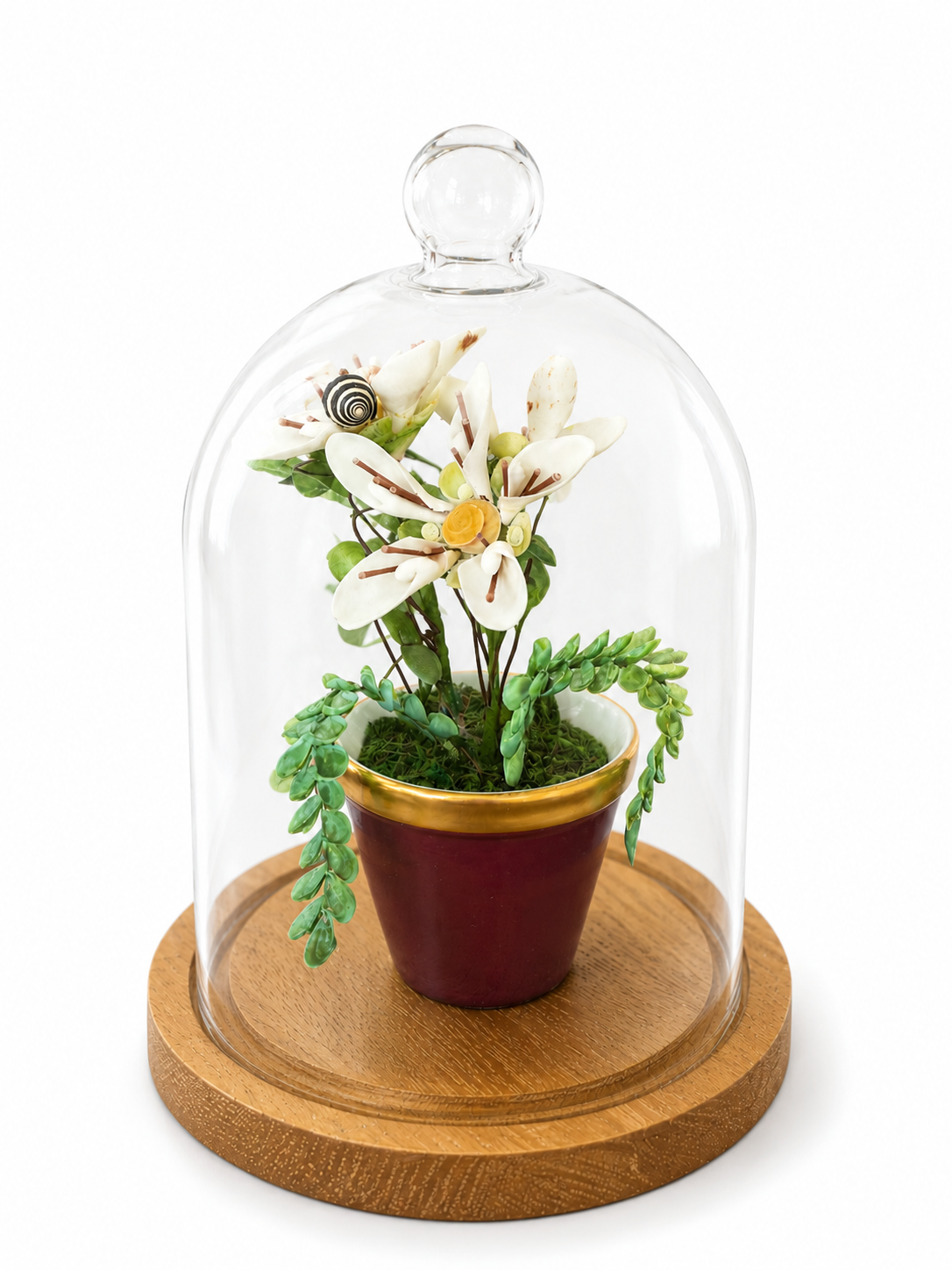 Glass cloche terrarium with white flowers and maroon pot on round wooden base
