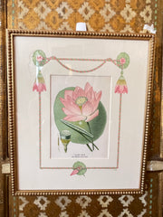 Framed botanical print: pink flowers, green leaves, rope-style border