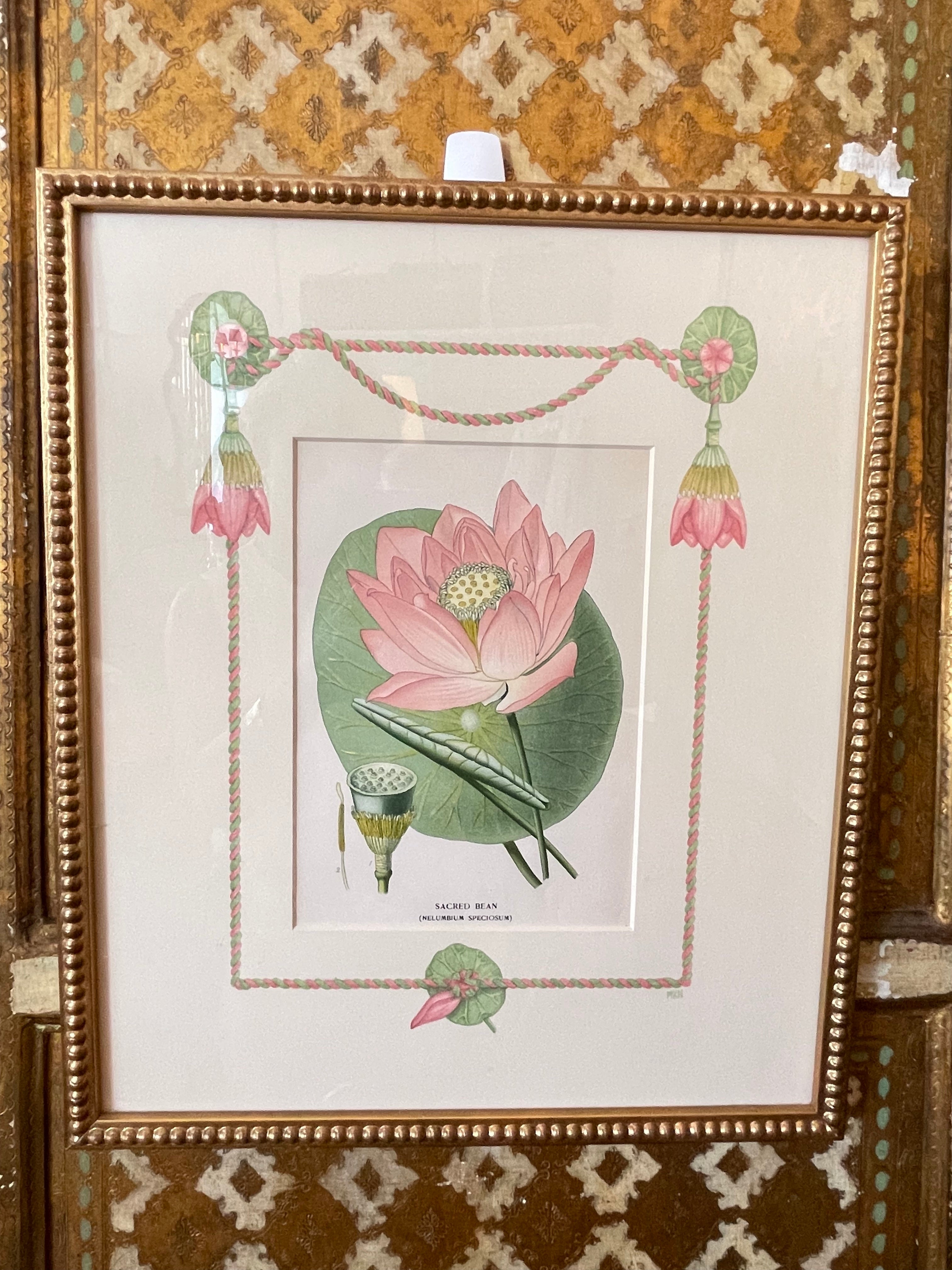 Framed botanical print: pink flowers, green leaves, rope-style border