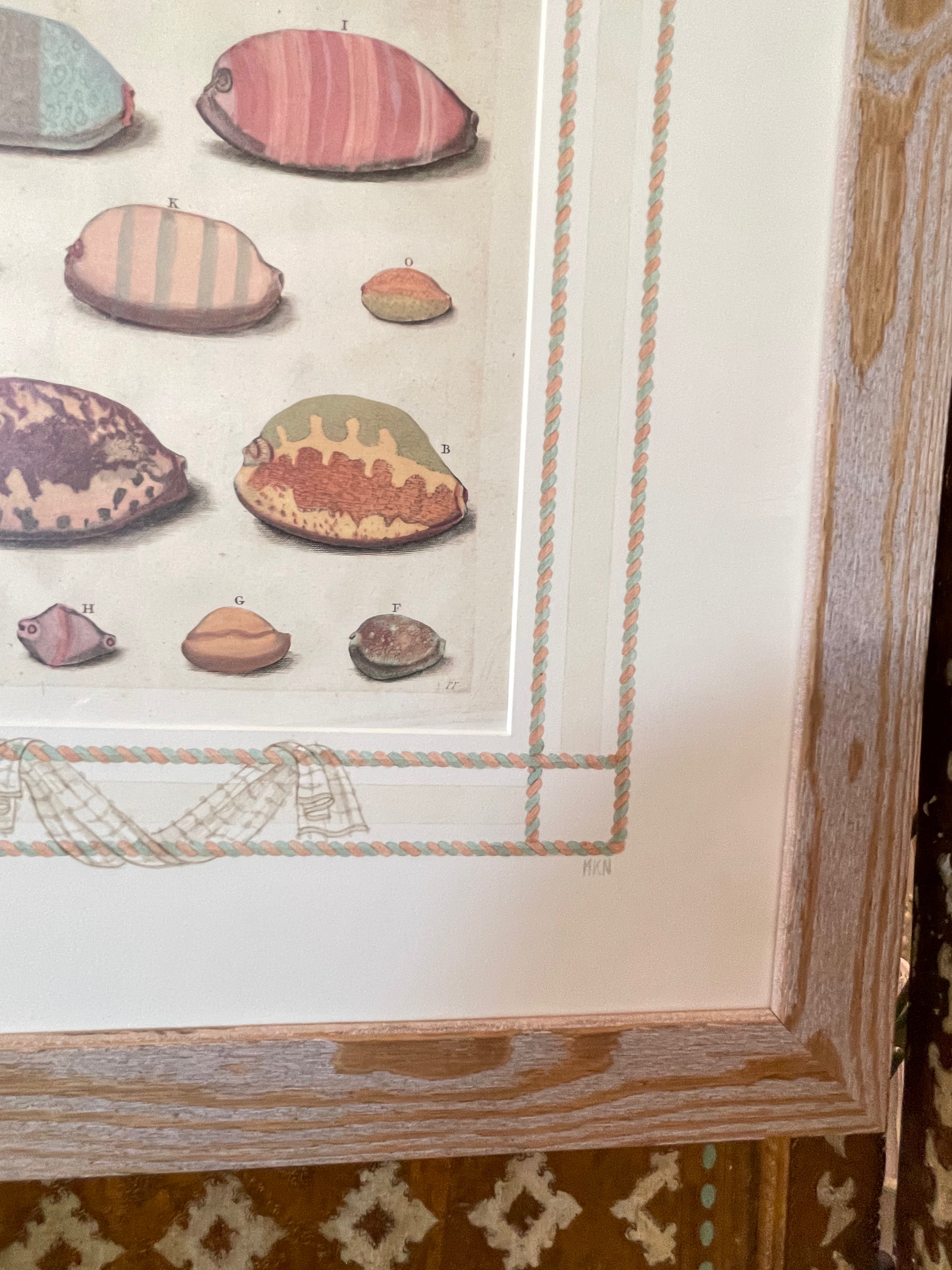 Framed antique shell print detail with multiple labeled seashells and decorative rope border