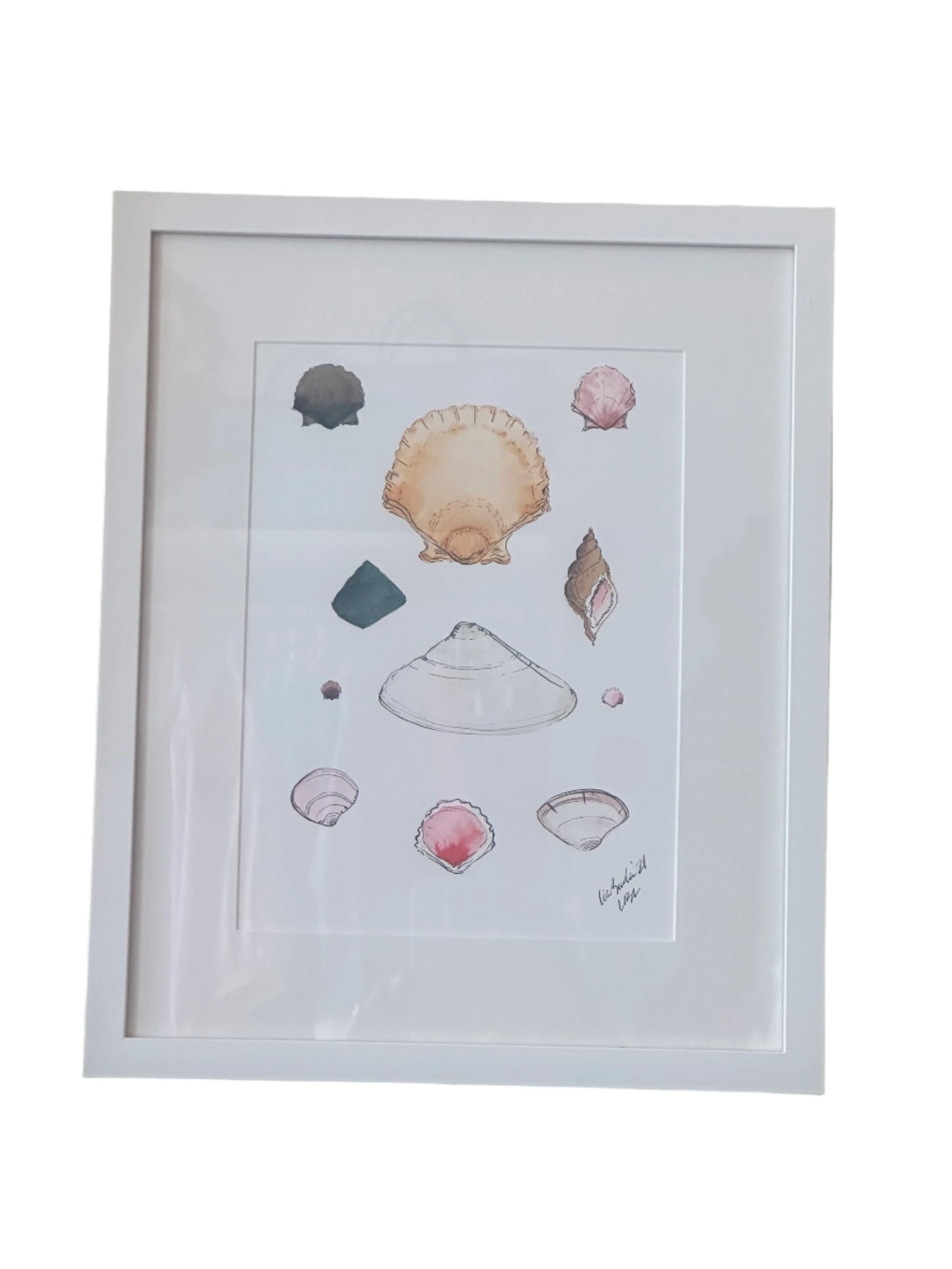 "Shell Collection' by Lia Burke Libaire