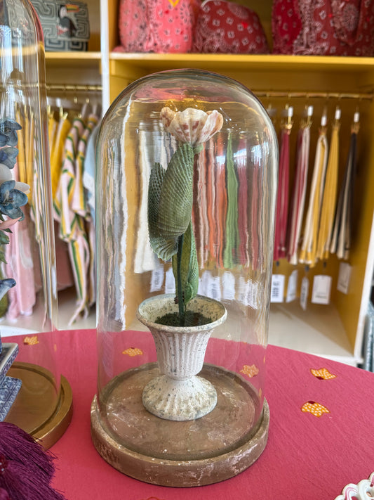 Glass dome tulip in white urn on round base, green stem and pink flower inside