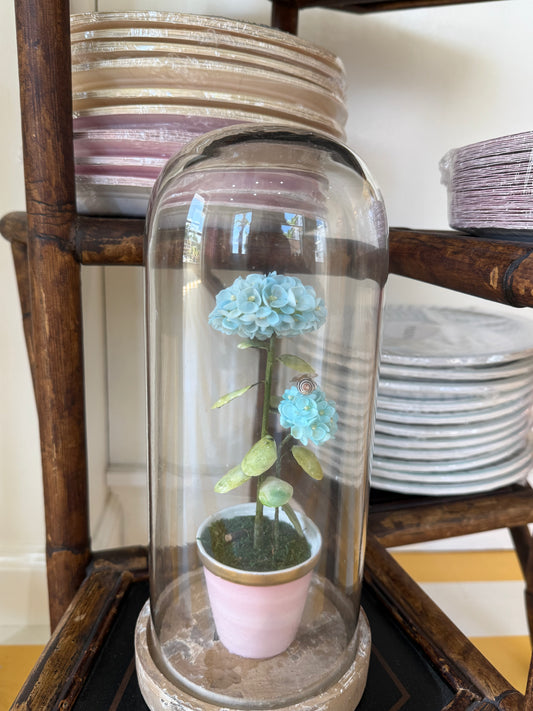 Glass cloche with light blue hydrangea in a small pink pot