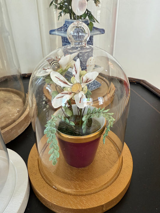 Glass dome floral arrangement with white flowers and maroon pot on wooden base