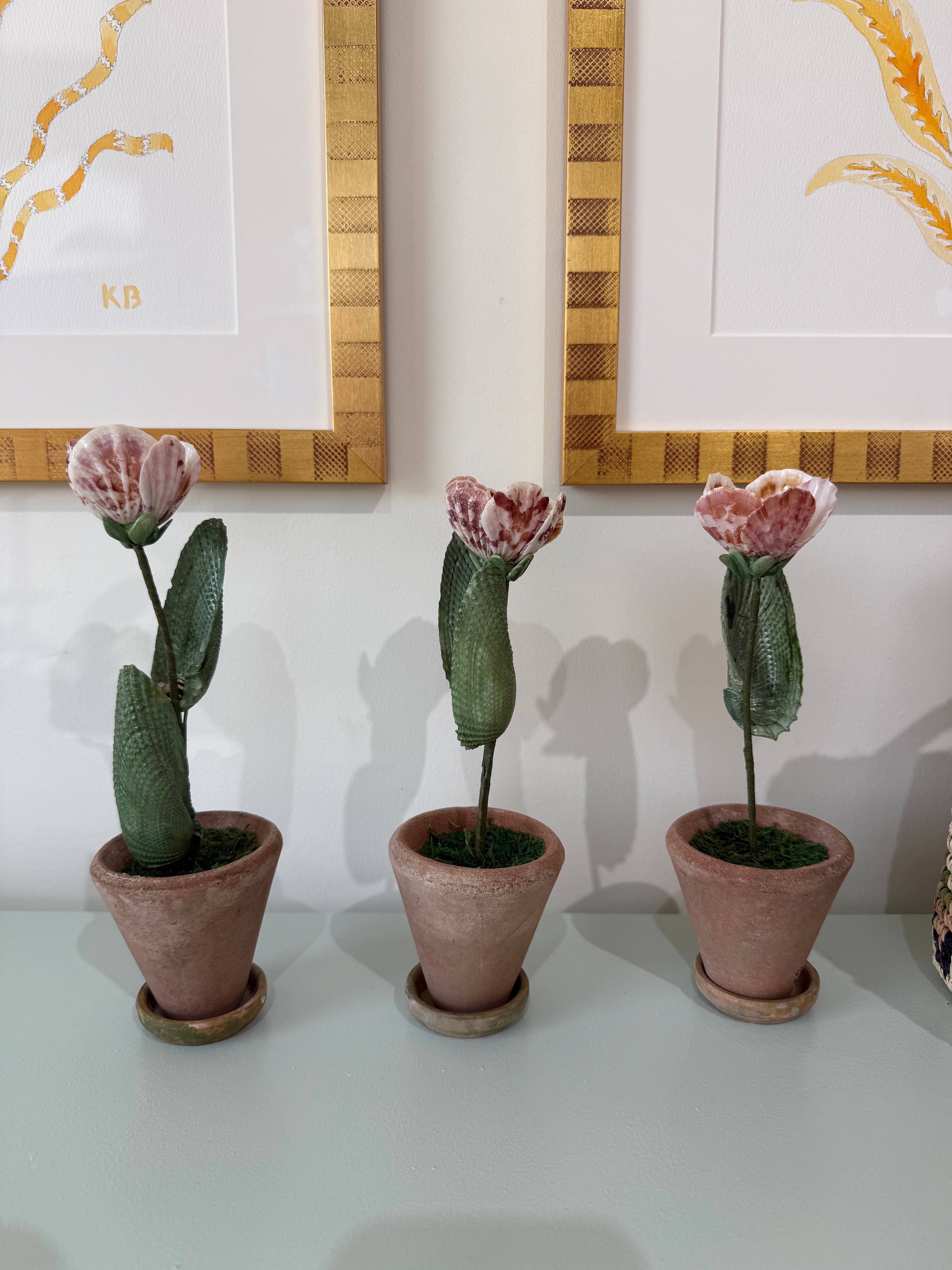 Three small potted tulips with pink-and-cream blooms on textured green stems