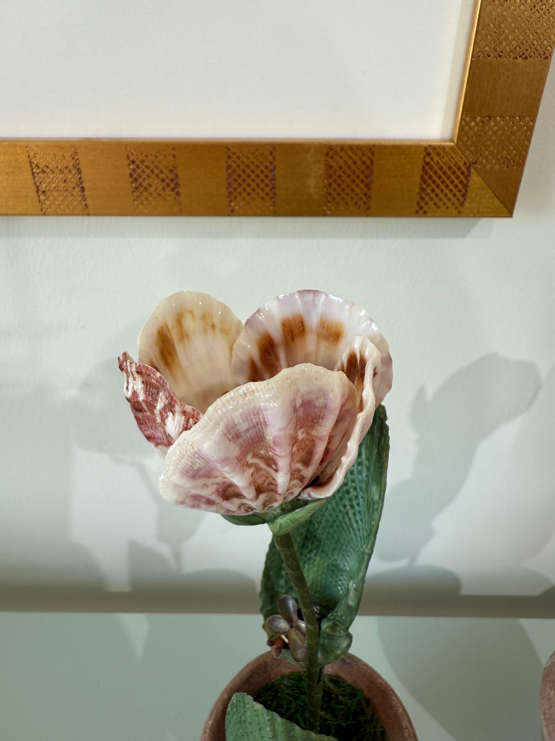 Decorative tulip on textured green stem in terracotta pot, pink and cream petals