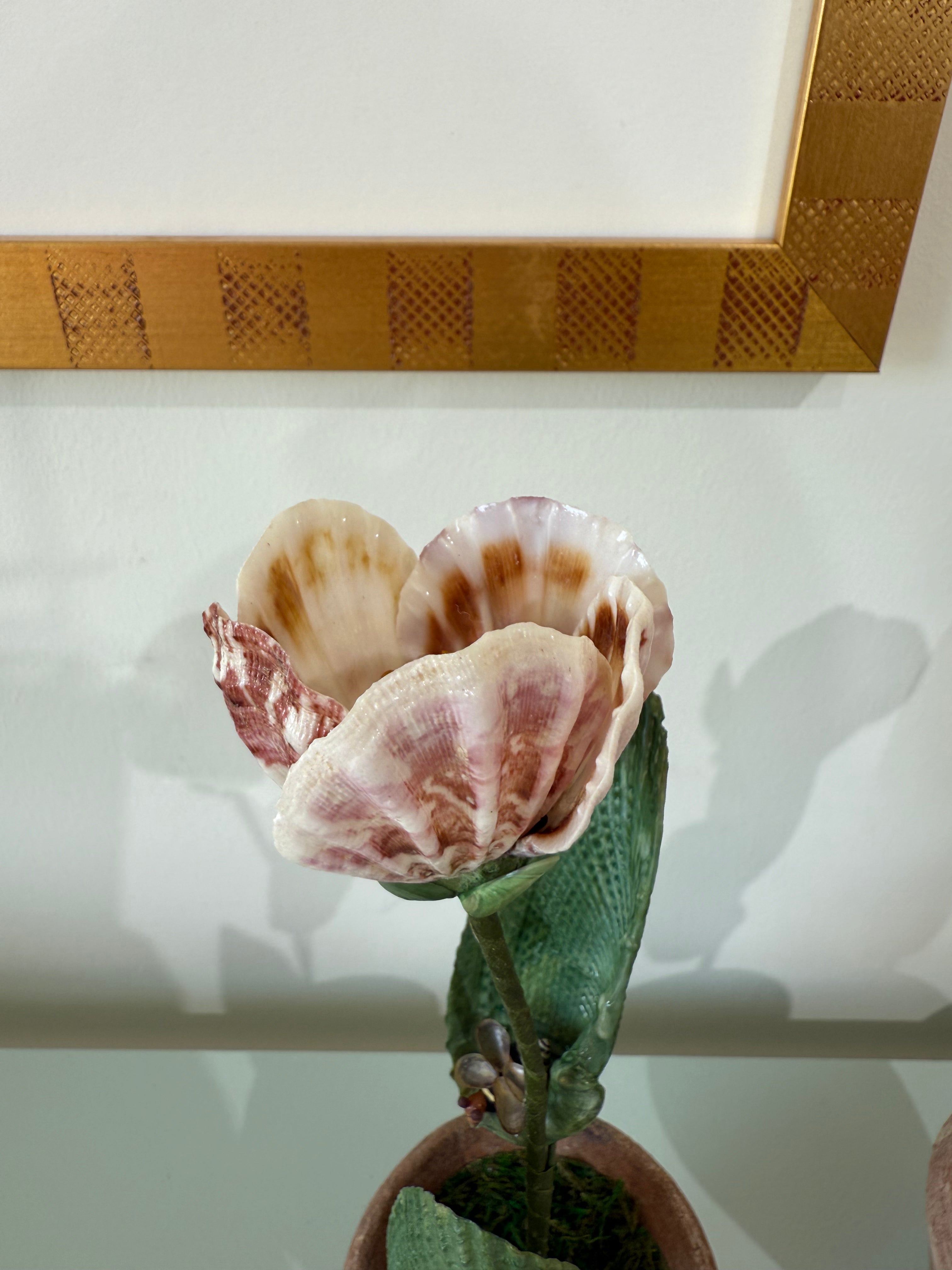 Decorative tulip on textured green stem in terracotta pot, pink and cream petals