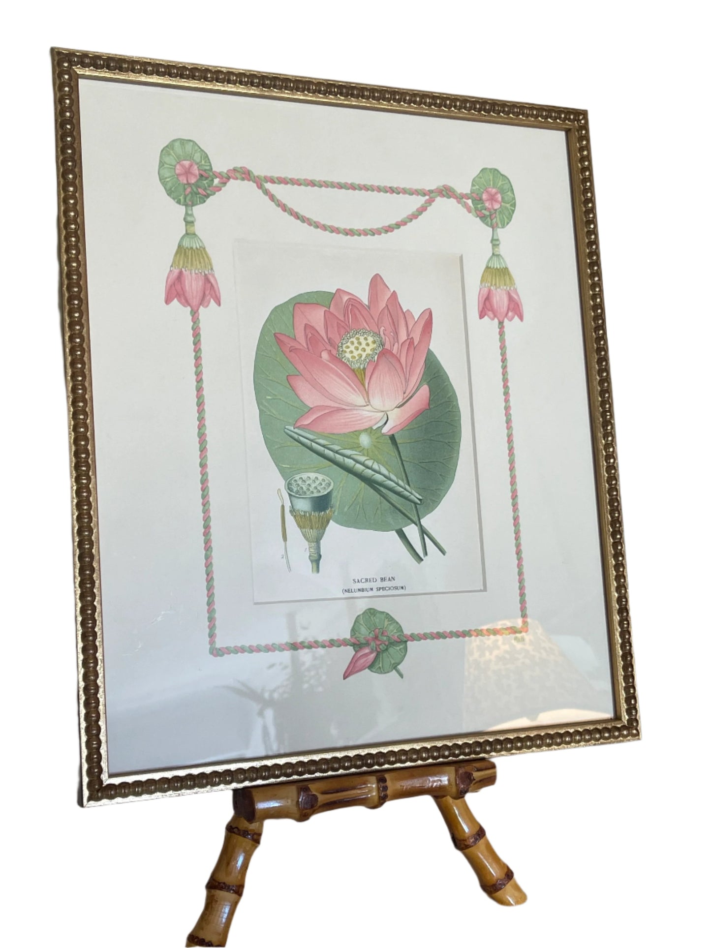 Original 'Sacred Bean' Waterlily Print with Hand-painted Border