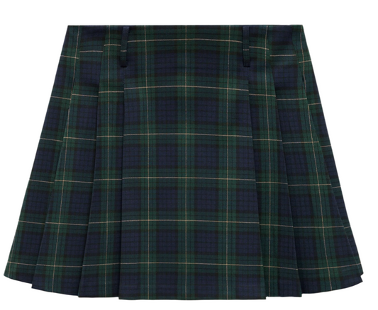 Plaid Pleated Skirt