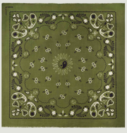 Étole Paisley - Bronze