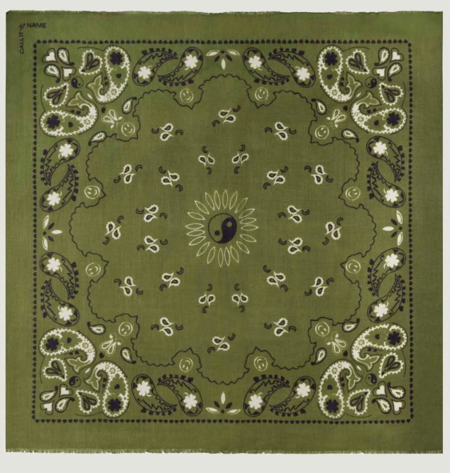 Étole Paisley - Bronze