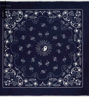 Étole Paisley - Navy
