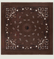 Étole Paisley - Brown