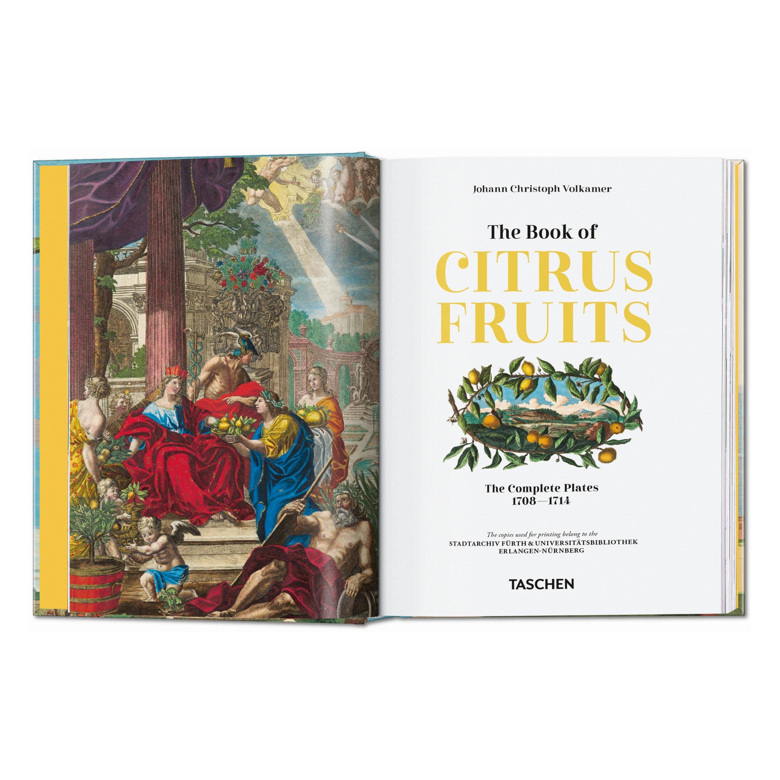 Open citrus fruits book with title page and illustrated citrus branch on white background