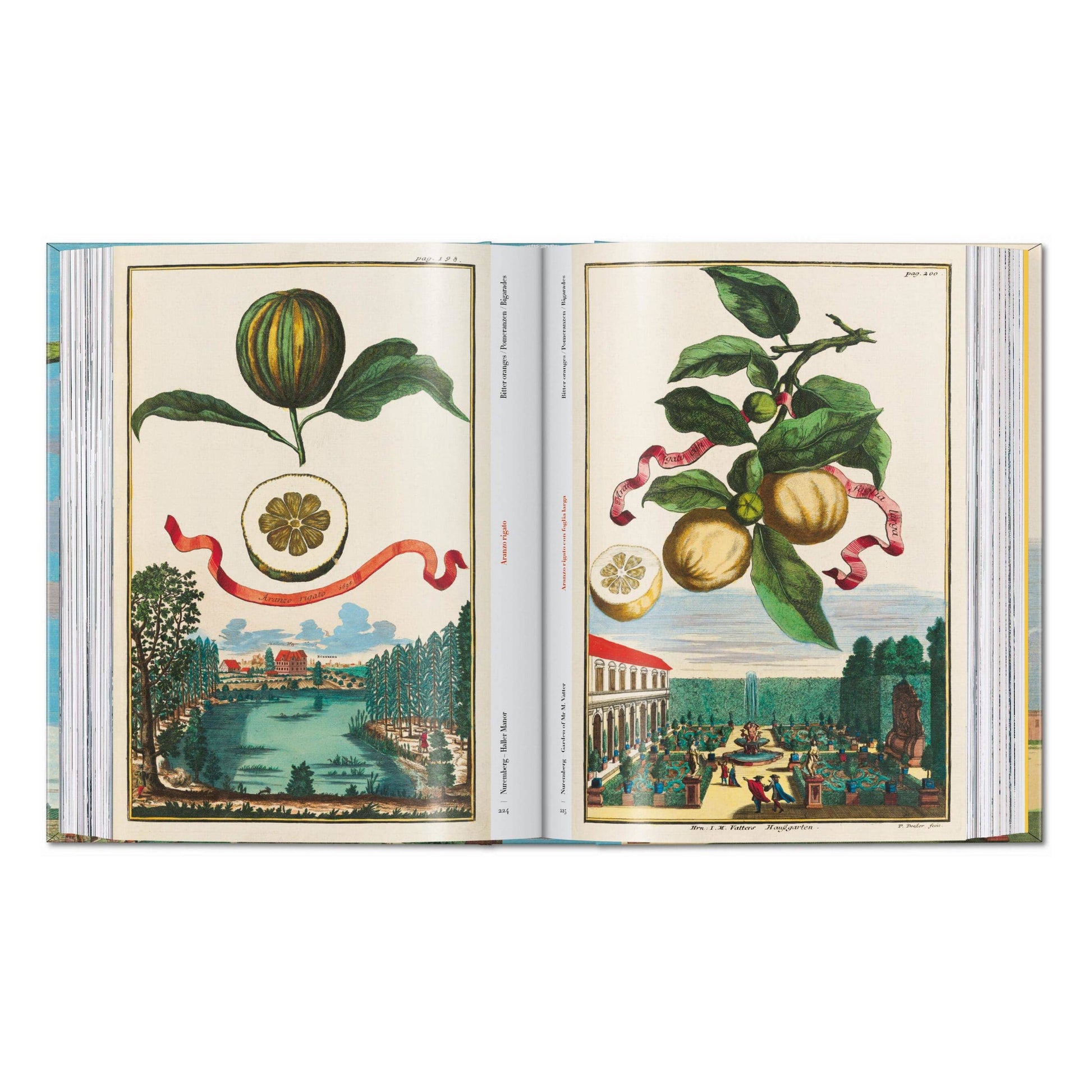 Open book spread with colored botanical citrus plates and landscape scenes