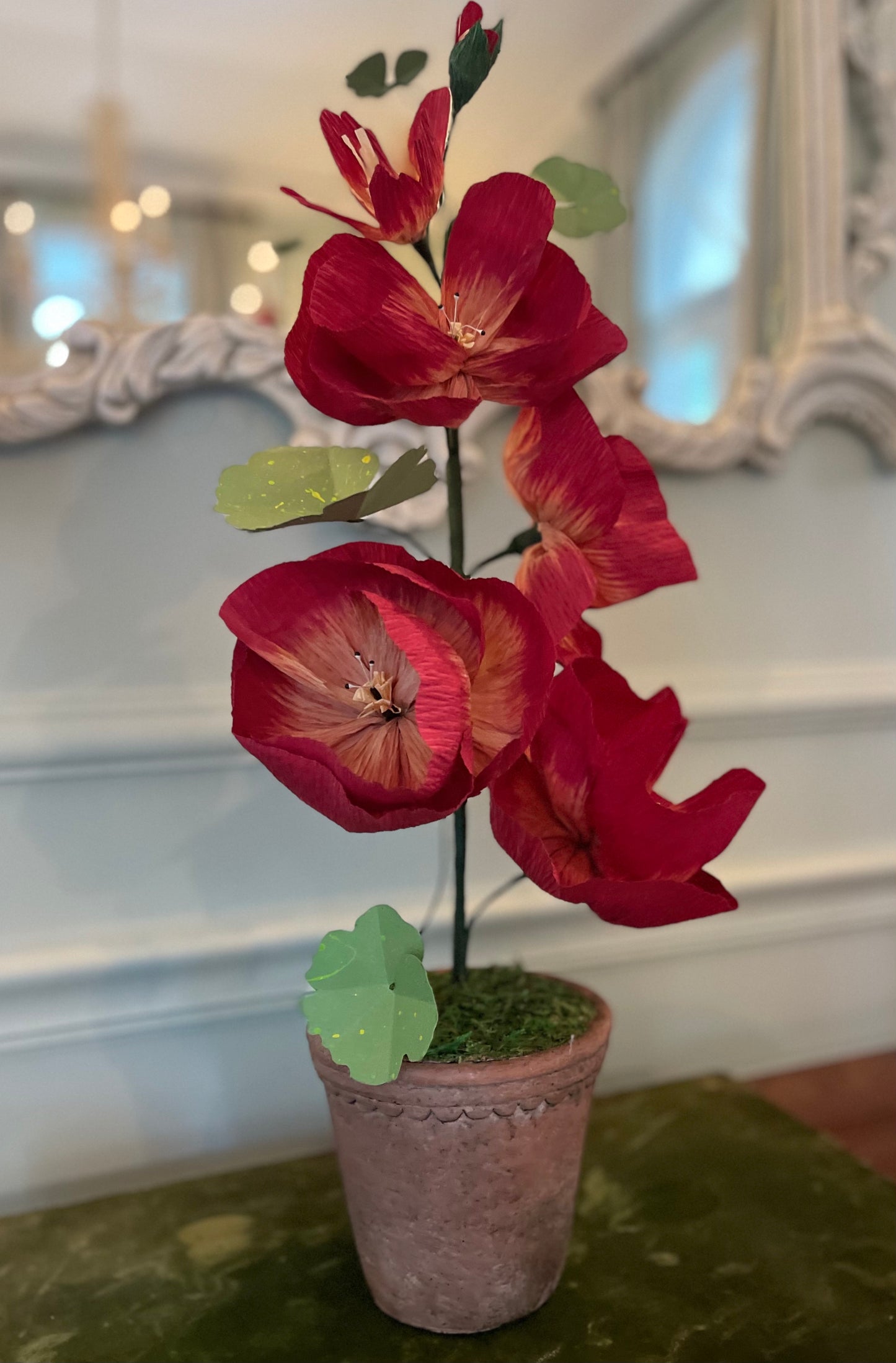 Deep Red Hollyhock Paper Plant