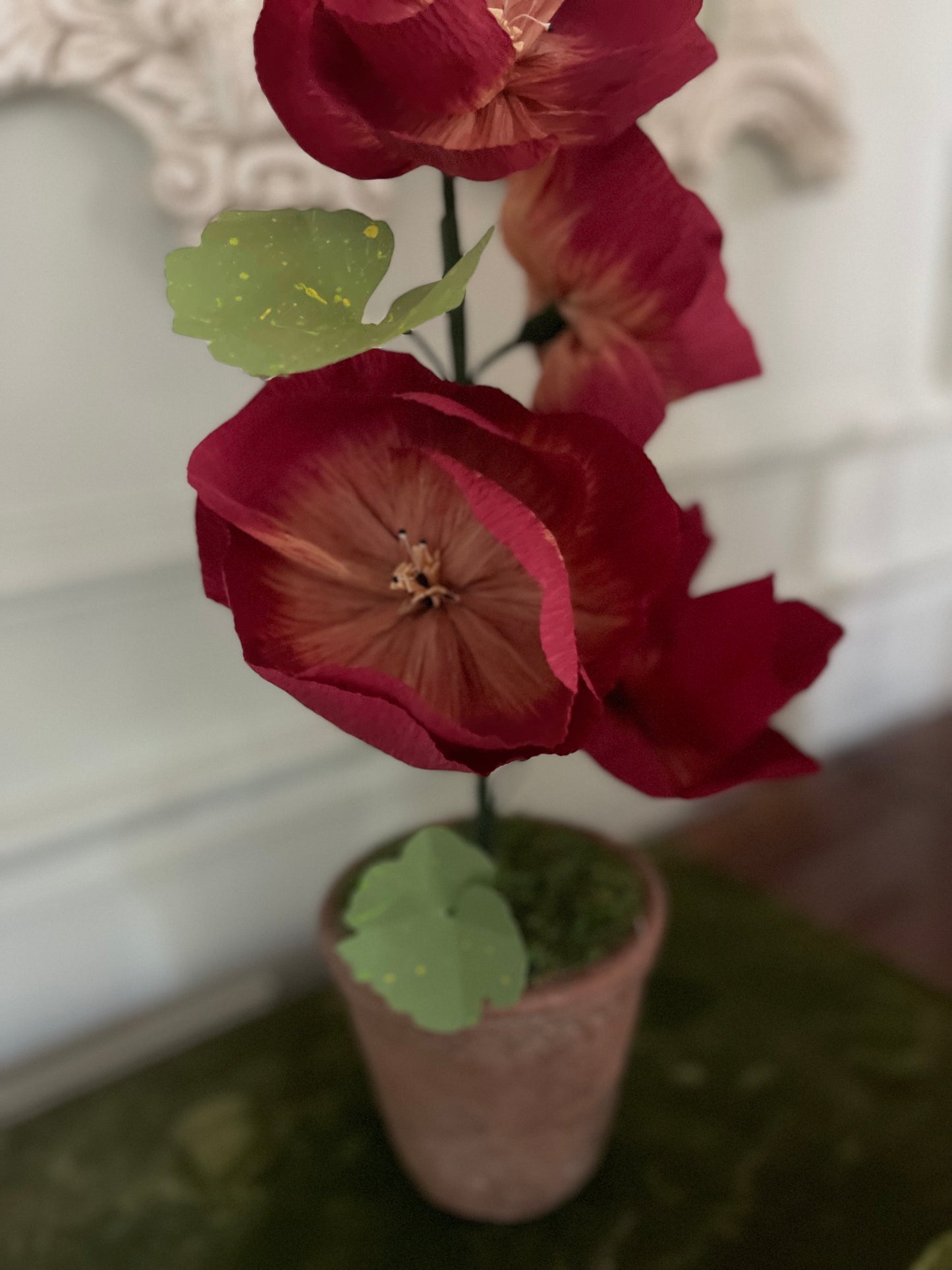 Deep Red Hollyhock Paper Plant