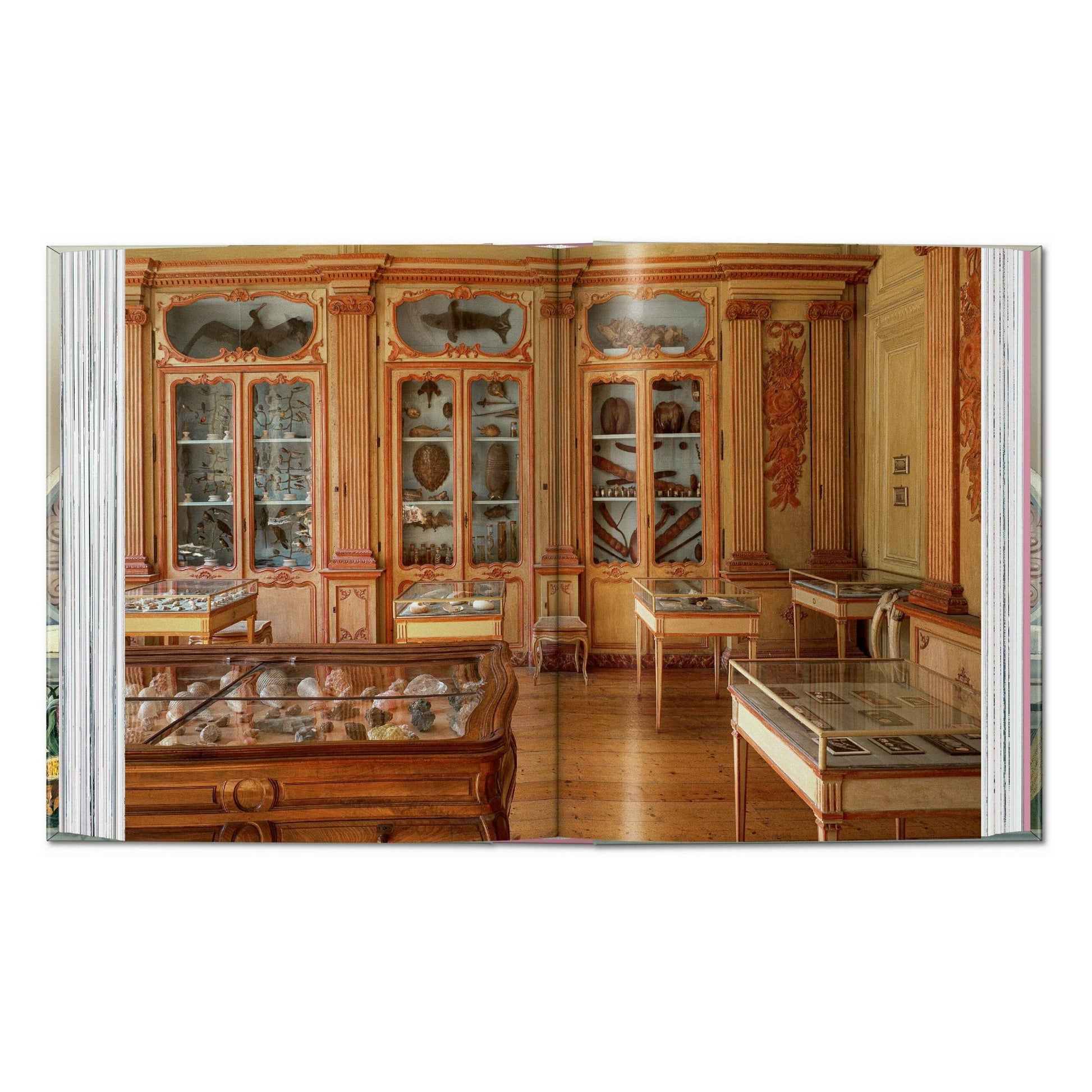 Cabinet of Curiosities book spread showing wood display cabinets and glass cases