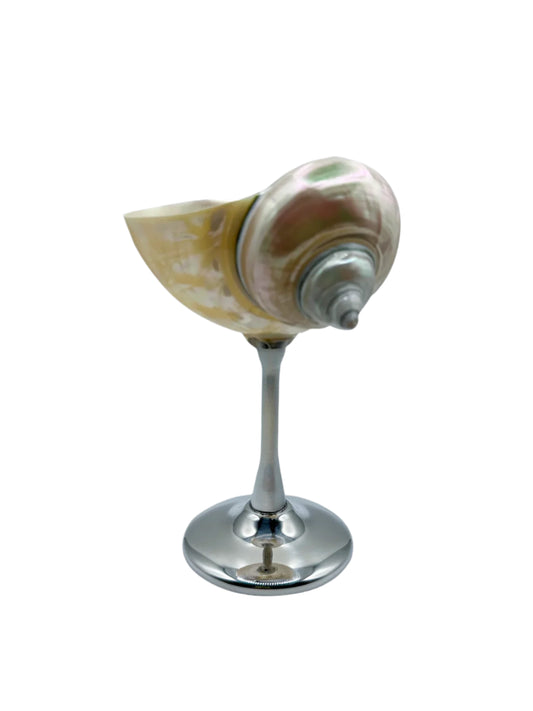 Shell Cocktail Glass