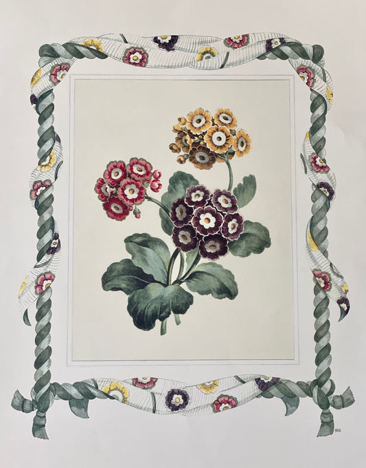 Primrose Trio antique print with hand-painted roping and floral fabric border