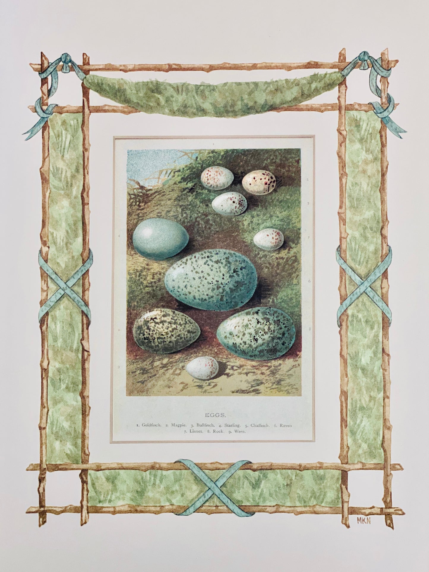 Nest & Eggs antique print with hand-painted garland border