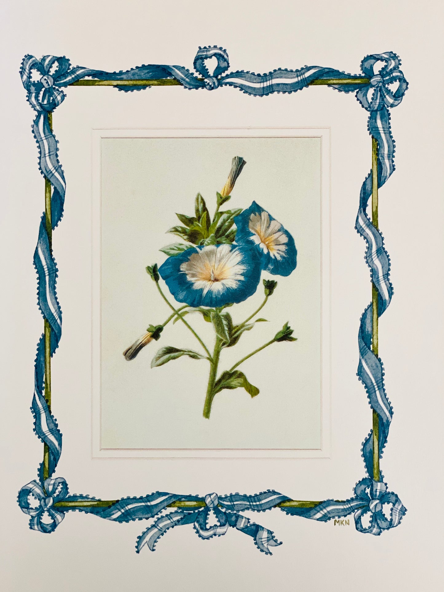 Morning Glory antique print with hand-painted ribbon border.