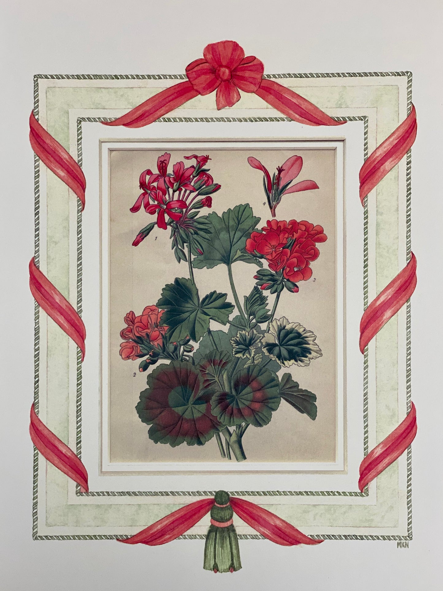 Geranium antique print with hand-painted ribbon border