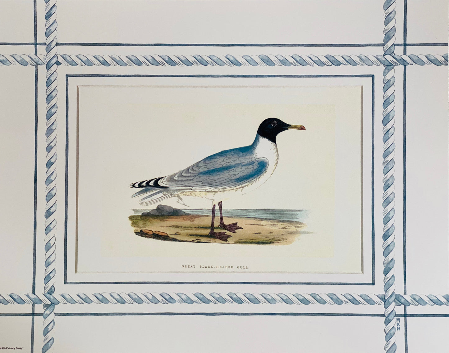 Set of 4 Seagull antique print with hand-painted border