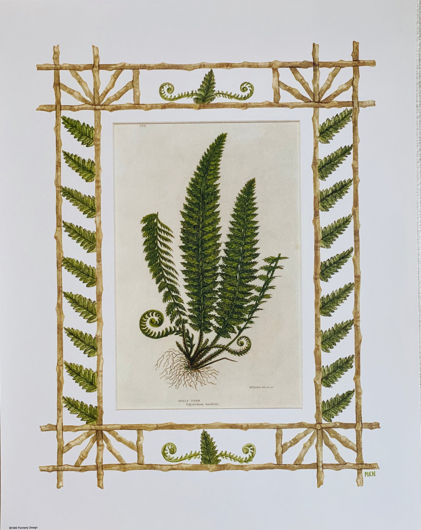 Set of 4 Fern antique prints with hand-painted borders